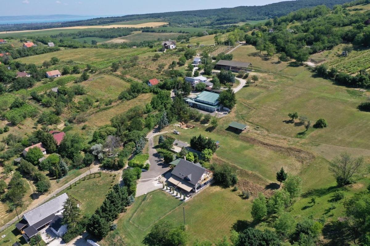 Balatonszárszó Borkuti Panzio Es Apartman المظهر الخارجي الصورة